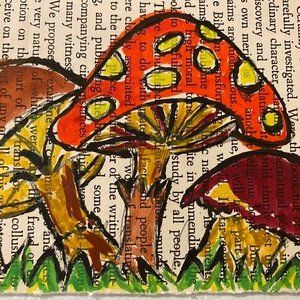 Meet your Posher, Kayleen